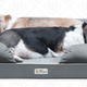 Pet Bed Gold Box